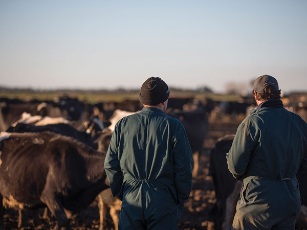 Farm Succession Planning: Tough conversations every sheep & beef farmer must have