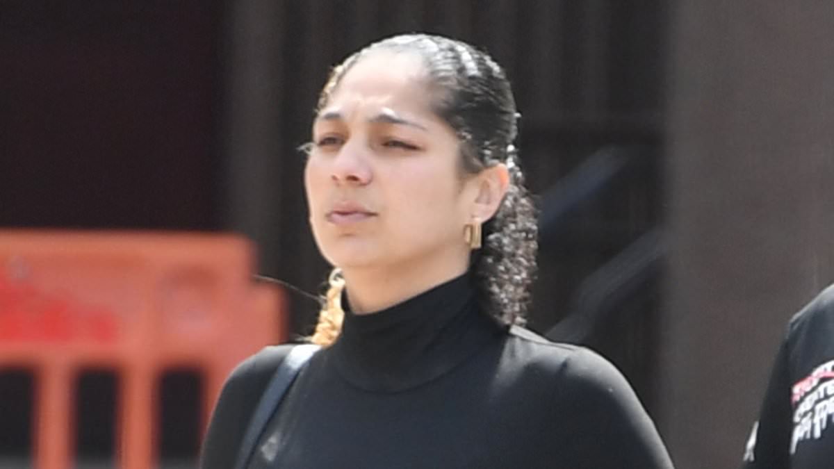 Drunk diversity rep who crippled Afghan veteran police officer by dragging him along road with her Range Rover during traffic stop avoids prison