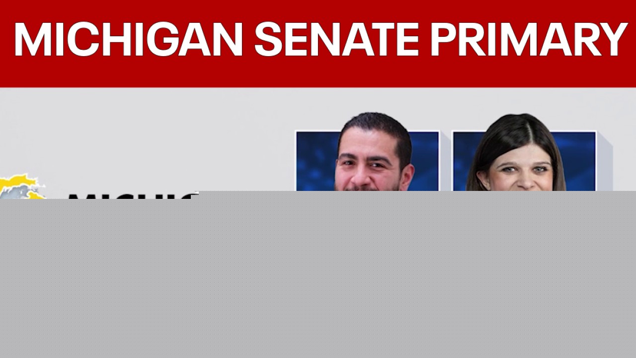 Political world watching Michigan Democratic Senate primary