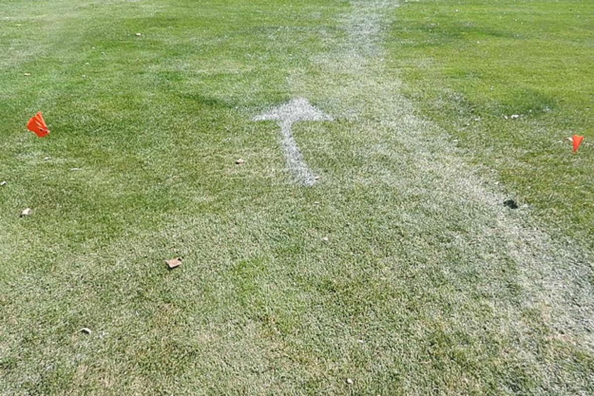 Countdown to State: Week 6 Cross-Country Action Heats Up In Wyoming