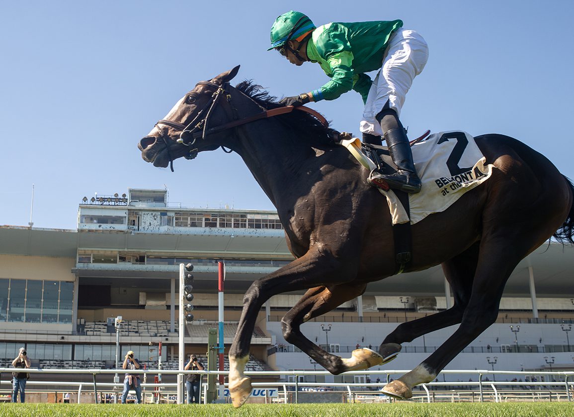 ‘TDN Rising Star’ Asbury Park Sails Home To Take Jockey Club Derby At BAQ