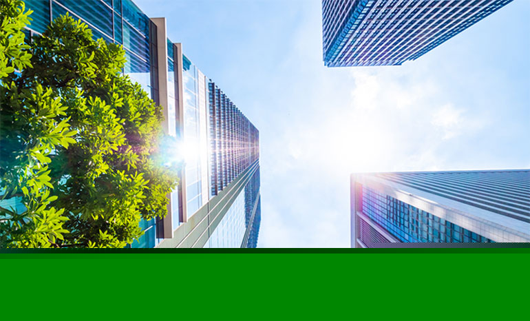 How Corporates Navigate ESG Pressures