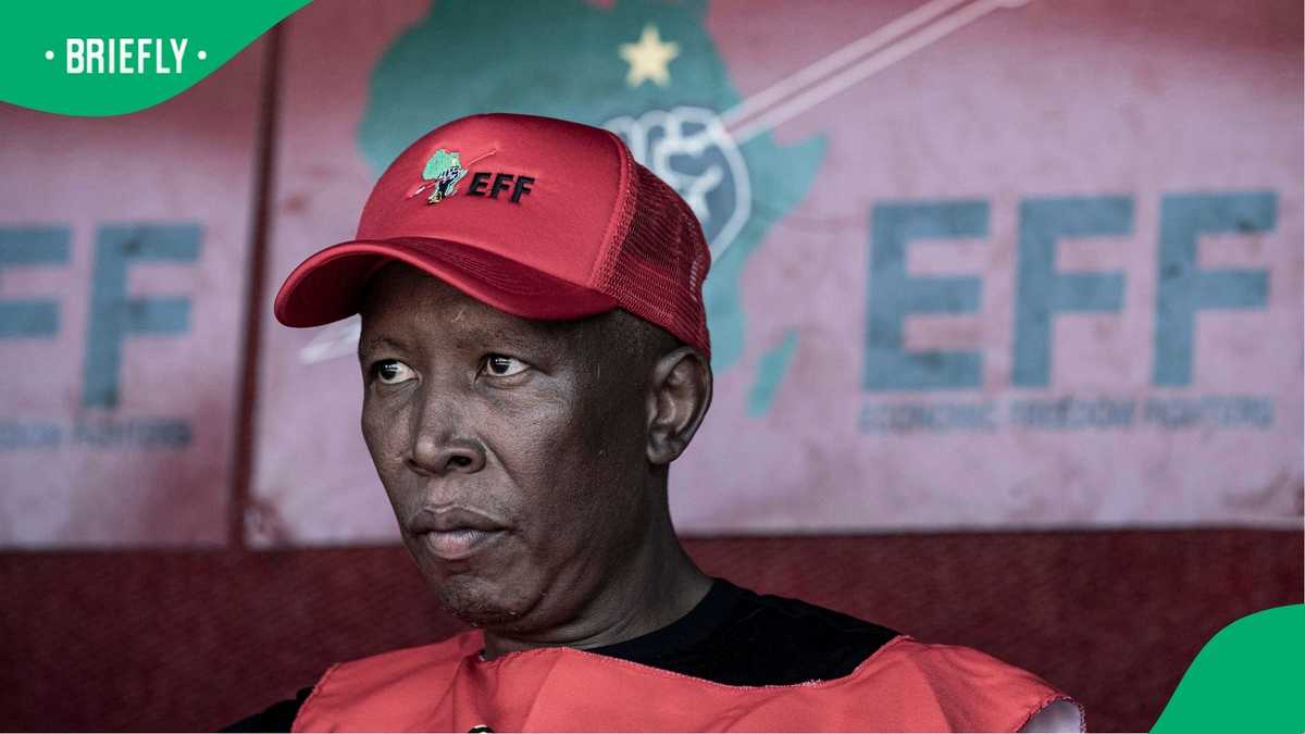 Julius Malema found guilty in firearm discharge trial, EFF leader convicted on all 5 counts