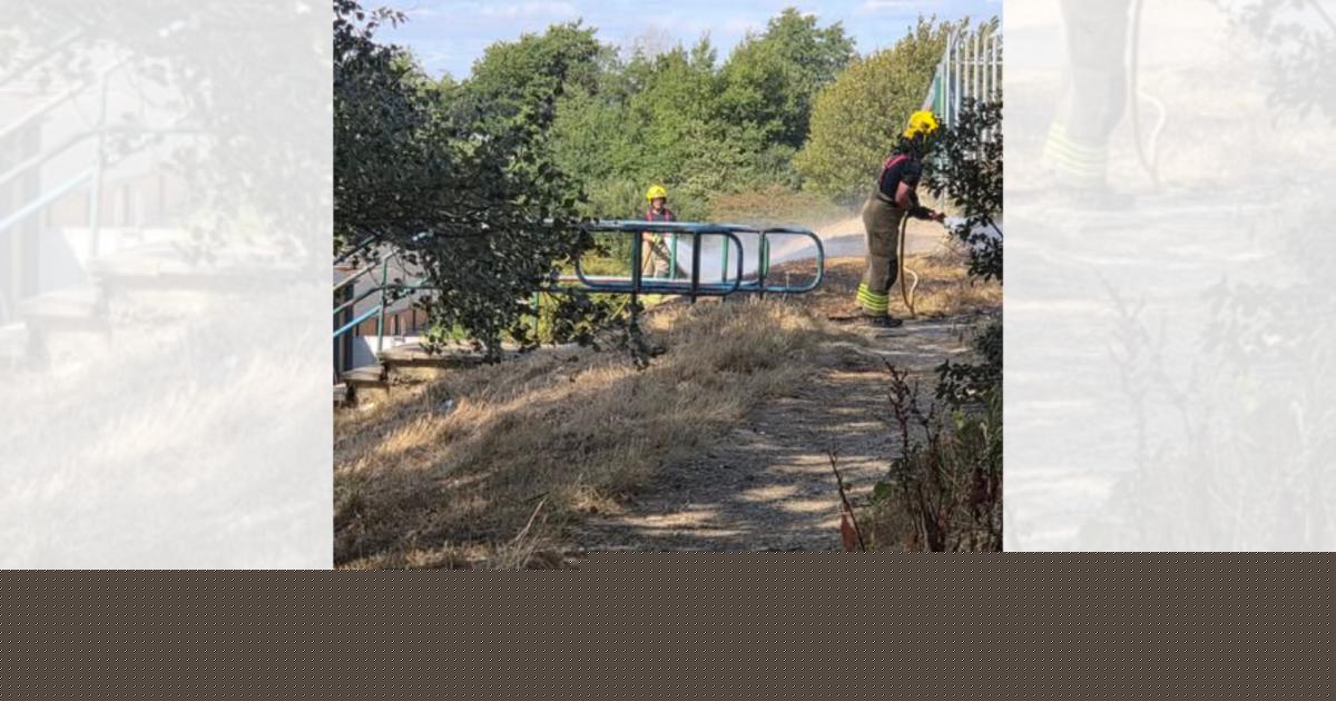Two juvenile suspects identified after Poole grass fire