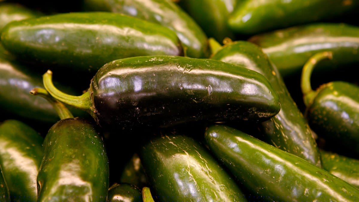 Chipotle pulls jalapeños from some restaurants for potential tie to salmonella outbreak