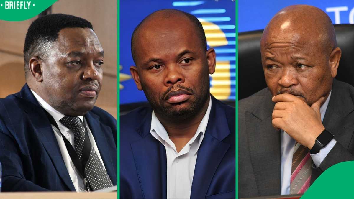 Fannie Masemola exposes alleged criminal connection between Shadrack sibiya and Senzo Mchunu