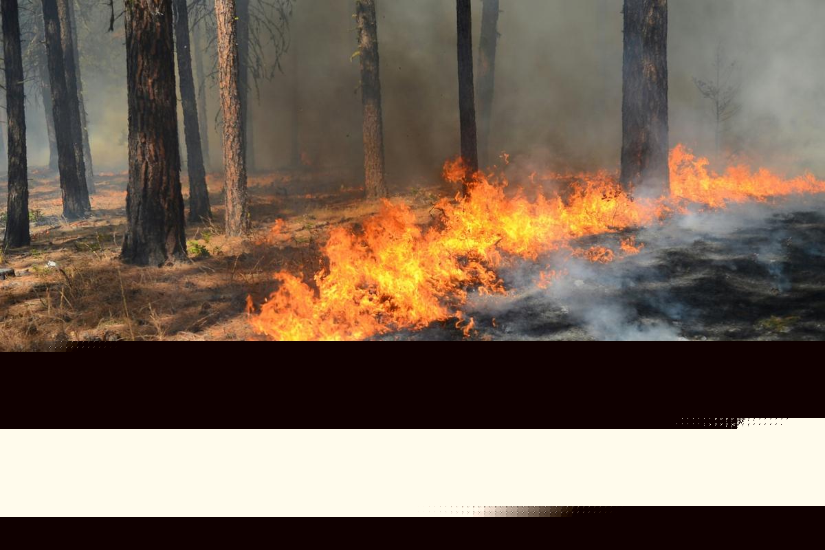 Massive Wildfire in Montana Destroys Beloved Local Ski Area