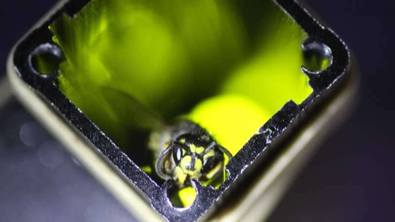 Comment on Artificial Intelligence Powers A Wasp-Killing Machine by benp968