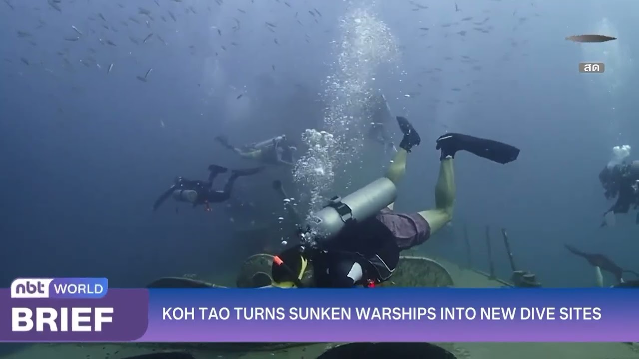 Koh Tao Transforms Sunken Warships into New Dive Sites