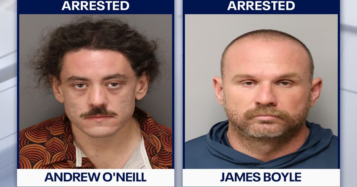 Man arrested after $96K vandalism caught on camera at St. Pete apartment building: Police