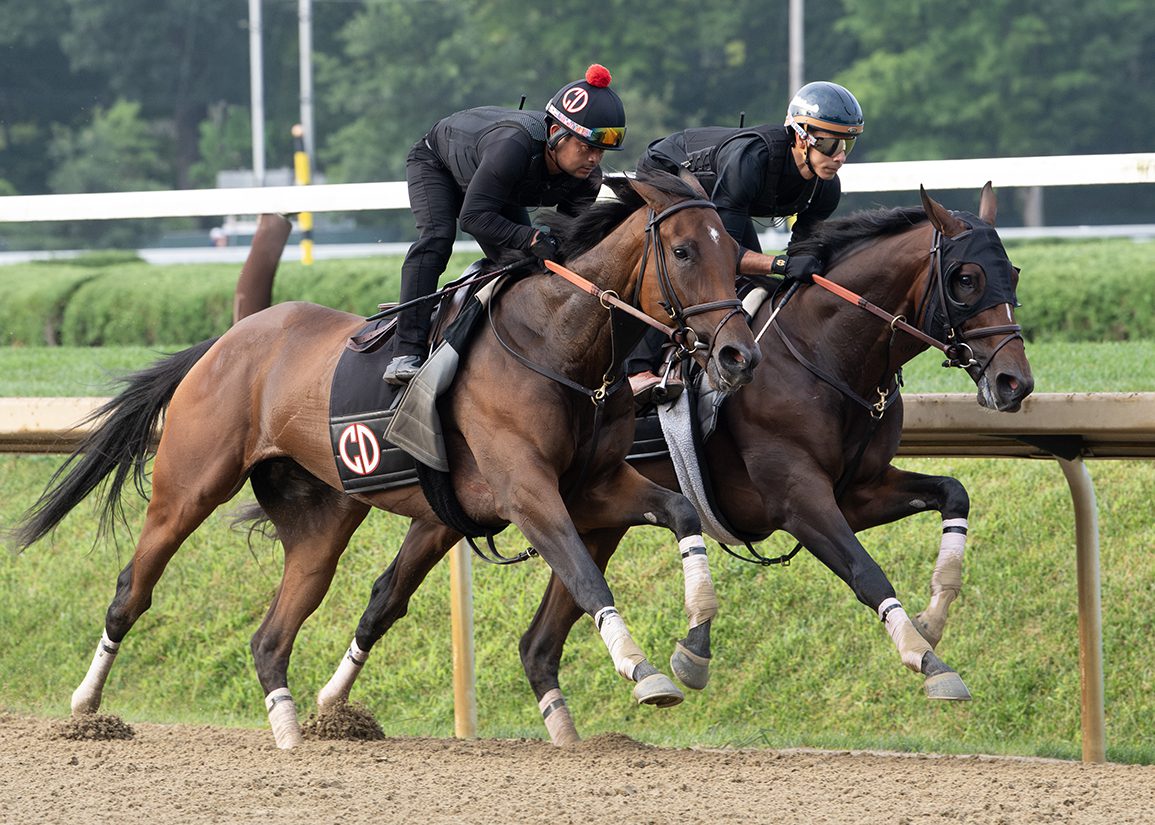 Saratoga Notebook, Presented By NYRA Bets: Golden Tempo Works, Unfazed By Any Outside Noise