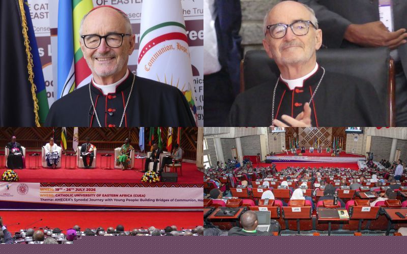 Cardinal Czerny Expresses Confidence in Successor at Vatican Dicastery, Reaffirms Support for AMECEA Region