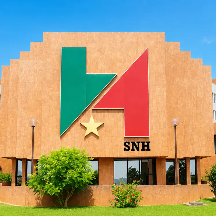 - SNH : comment 4 milliards de conseils plombent les comptes