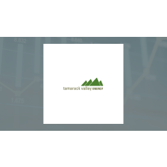 Tamarack Valley Energy (TSE:TVE) Hits New 52-Week High  – Should You Buy?