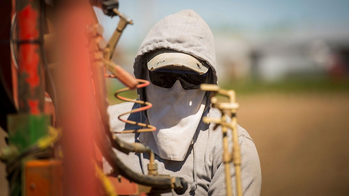 Temporary foreign workers have become a political flashpoint, but they are a matter of survival for some businesses