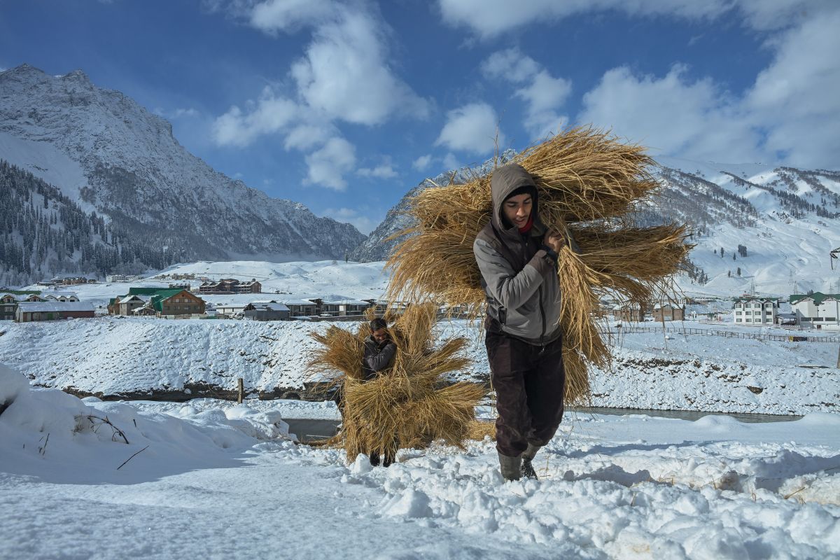 Cold Wave Grips Kashmir, Sonamarg Coldest at -11.2°C