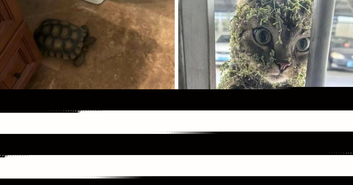 49 Funny And Dumb Screenshots That Show How Weird People On The Internet Can Be