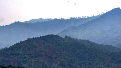 Kolibri Alliance Welcomes Revocation of 22 Forest Permits, Urges Nationwide Review to Prevent Recurring Floods