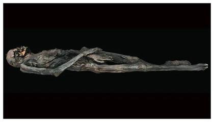 2,300-year-old arm tats on mummified woman reveal new insights about tattooing technique in ancient Siberia