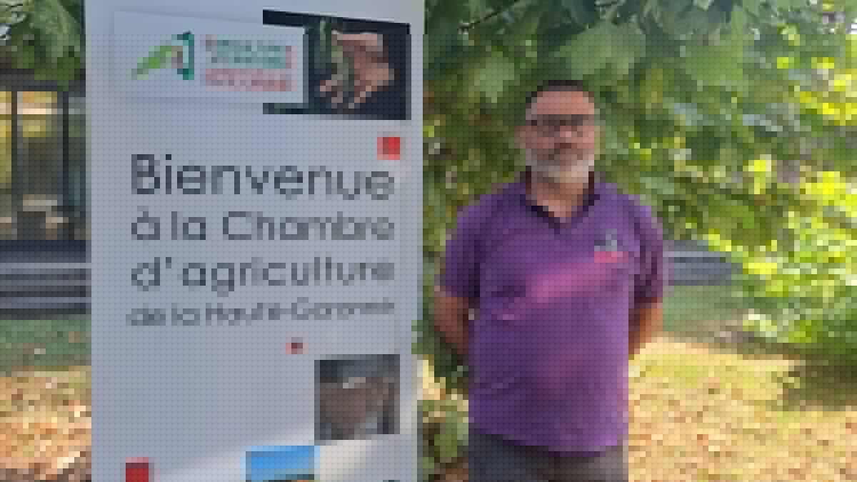 ENTRETIEN. "Beaucoup pensent à changer de métier" : 40 % de récolte en moins, travaux effectués avec 3 semaines d'avance, comment la répétition des épisodes caniculaires impacte le travail des agriculteurs