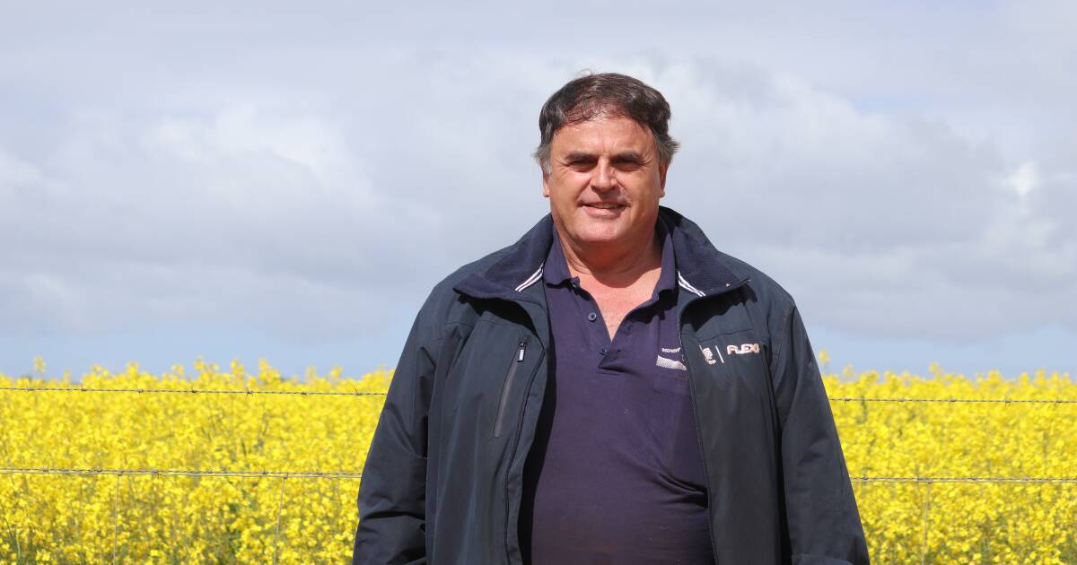 Manager to reduce harvest losses in what is shaping up to be a good season