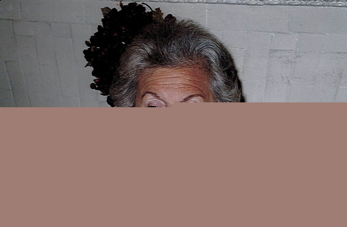 Rosemarie Andronaco Festo, 93
