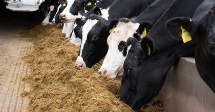 Arla, Müller and Freshways confirm reductions as UK milk oversupply bites