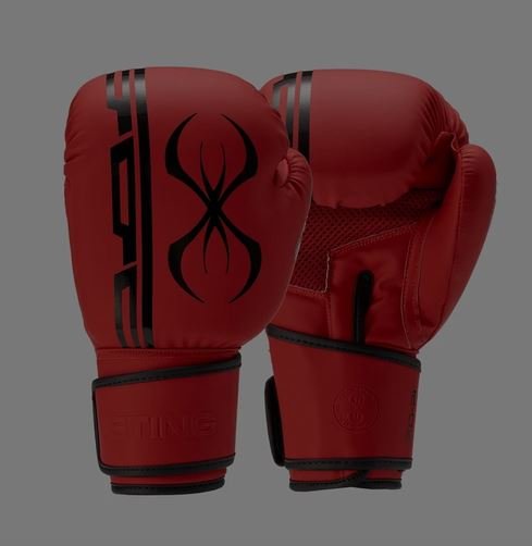 Ghana boxing stakeholders petition MoSR, NSA …call for Extraordinary Congress to appoint Elections C’ttee