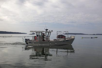 Comment on Meet the Small Business Owners Electrifying Maine’s Rural Coast  by Andy Webster