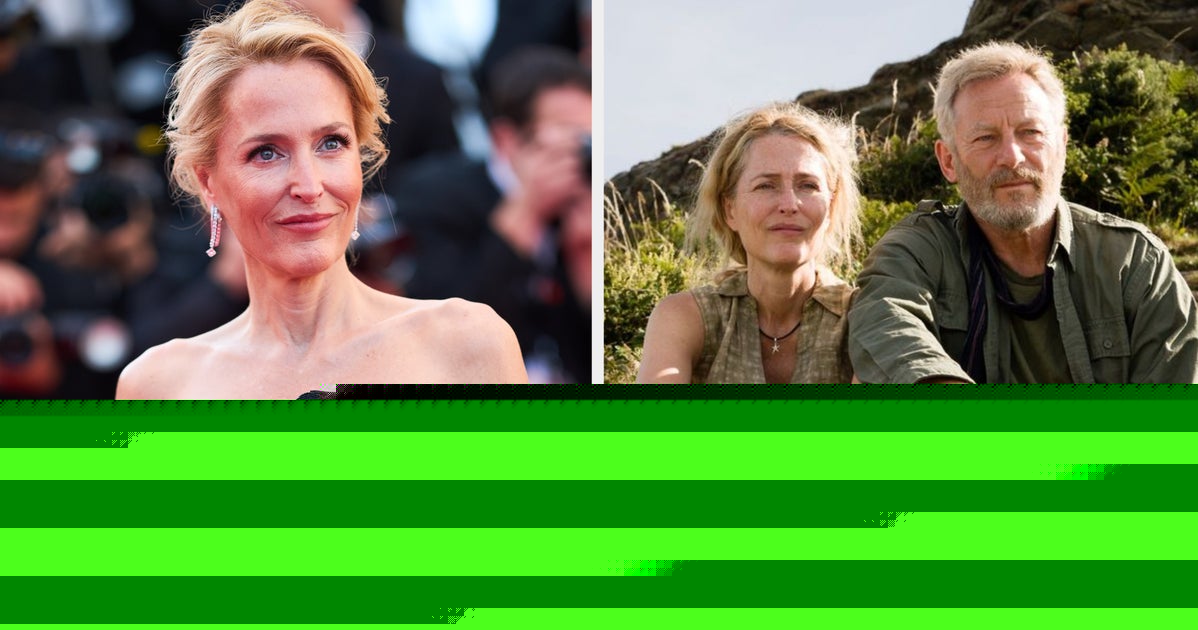 Gillian Anderson Speaks For The First Time About 'Unfortunate' Salt Path Controversy