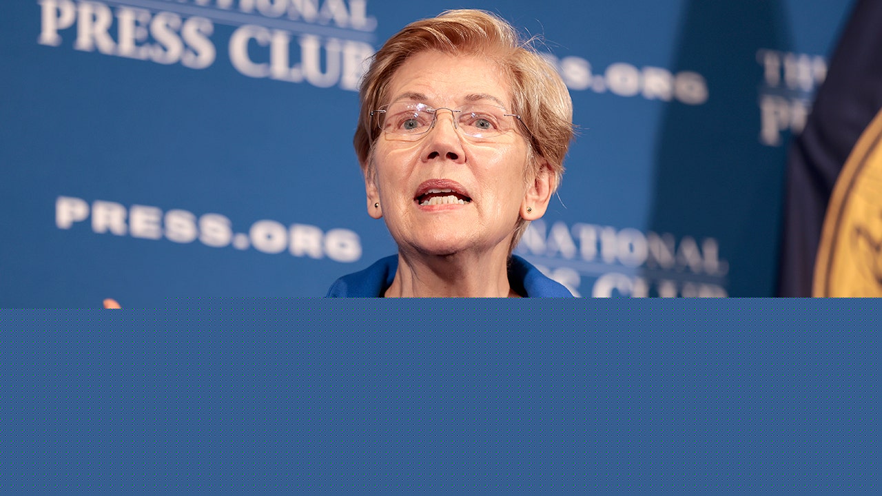 Progressive praise for Trump as Warren backs push to curb defense contractor CEO payouts