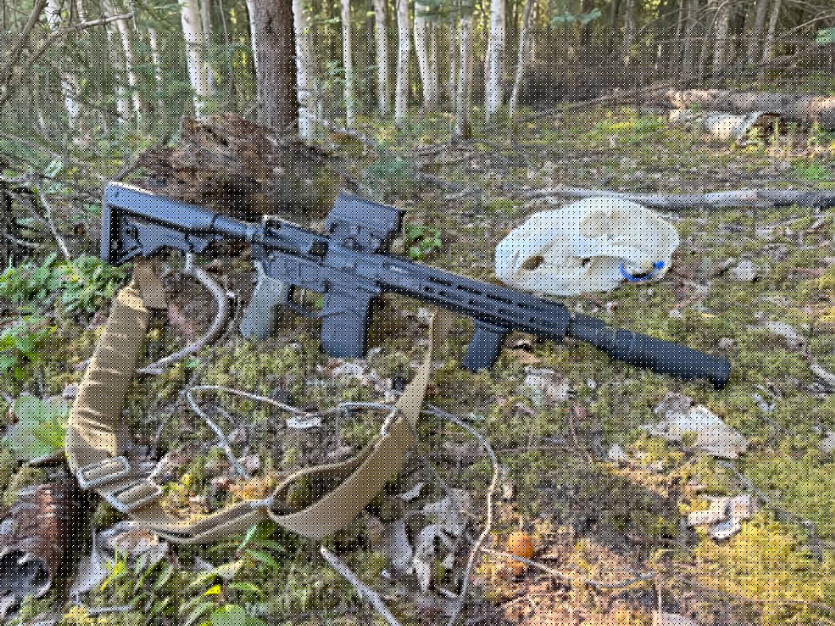 ARs for Bear Defense: Practical Choice or Potential Disaster?