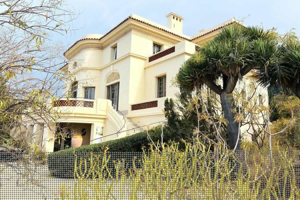 Malgré des visites en légère baisse, le Domaine du Rayol dresse un bilan verdoyant de 2025 marqué par l’avancement de nombreux projets