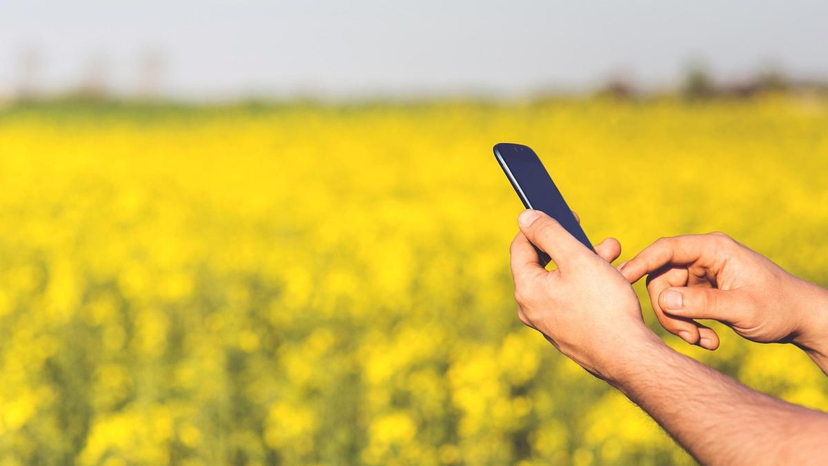 National Farmers’ Federation calls for immediate mobile roaming mandate to make Australians safer