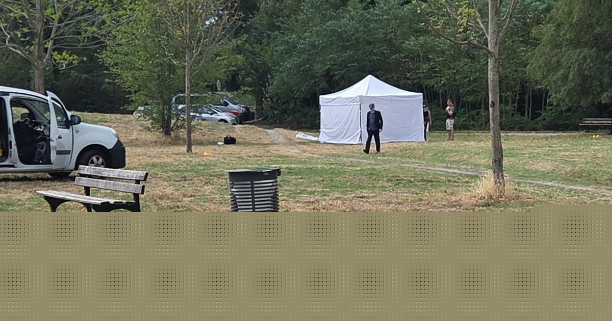 Isère. Le corps d'un homme découvert dans un parc à Grenoble
