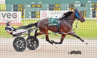Ohio’s young stars impress in stellar stakes action