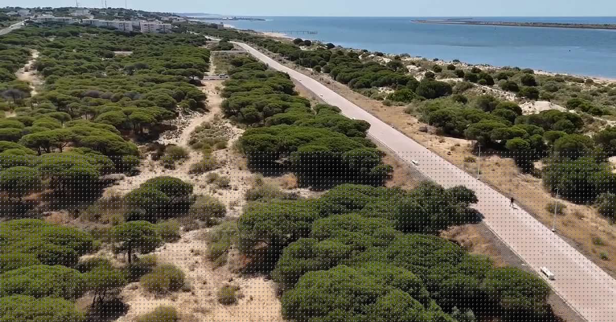 Grupo Insur adquiere suelo en Mazagón para desarrollar un residencial de 233 viviendas por 80 millones de euros
