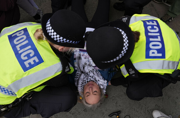 Over 440 arrested at London Palestine Action protest despite Starmer plea to cancel march