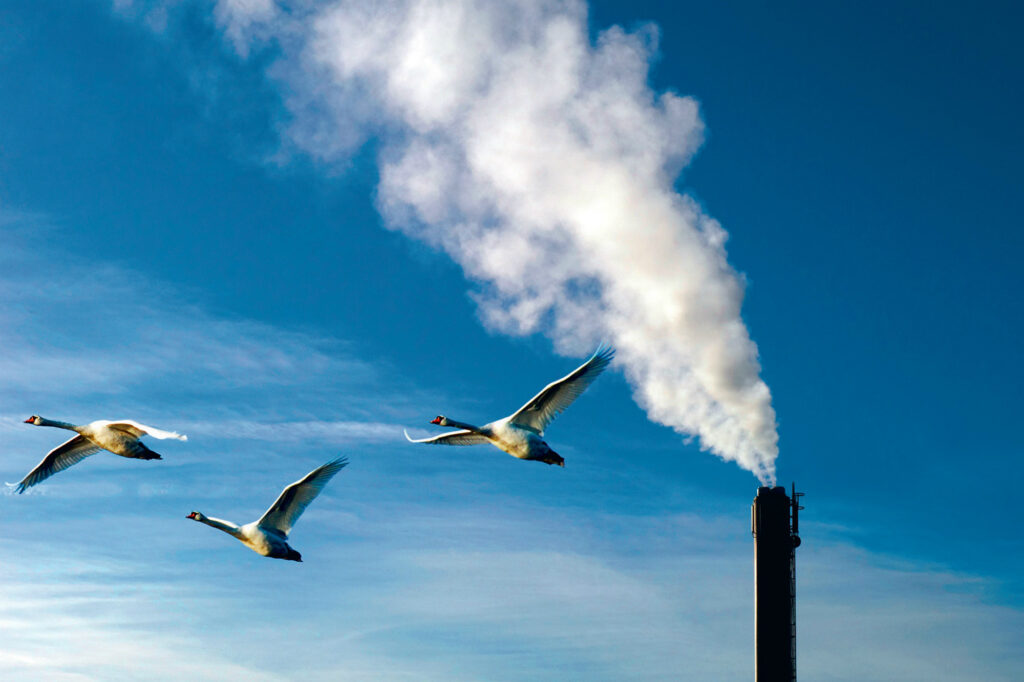 Comment on Kent sounds alarm over emissions scheme costs by Phillip Ward