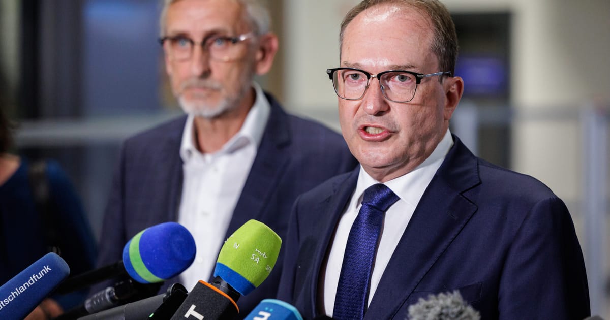 German interior minister suggests state actor behind drone attack