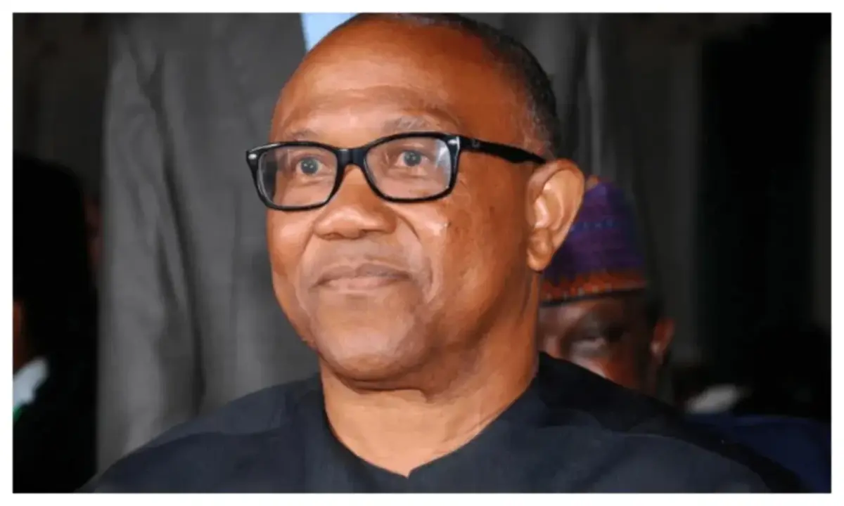 Peter Obi seeks strict verification of academic credentials for public office