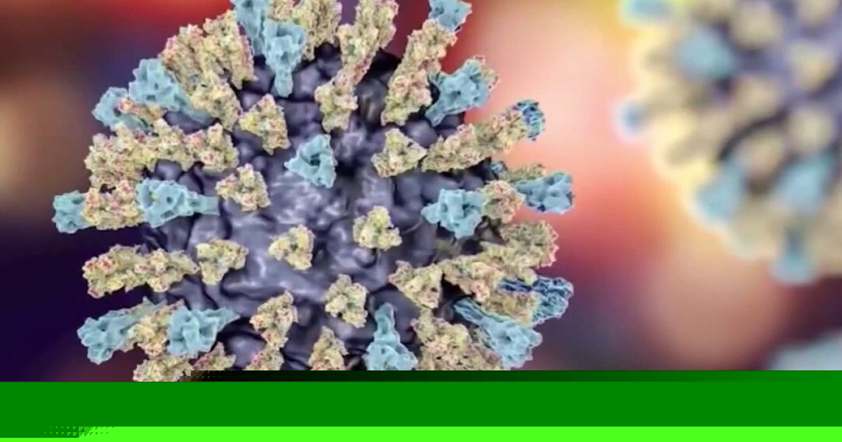 Cyclosporiasis outbreak deaths: 2 dead in Michigan as cases continue to climb
