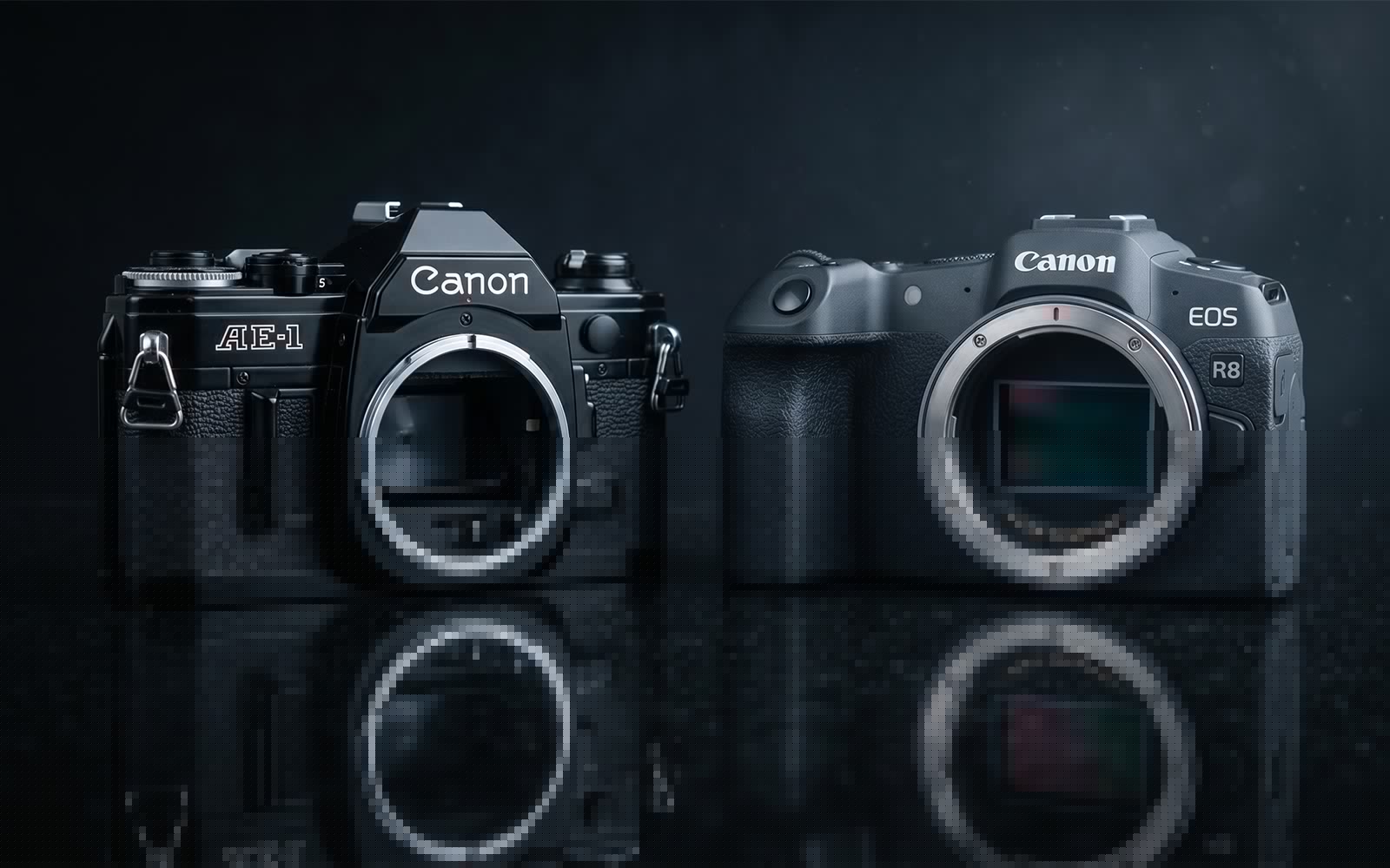 Canon EOS R8 Mark II Sensor Information