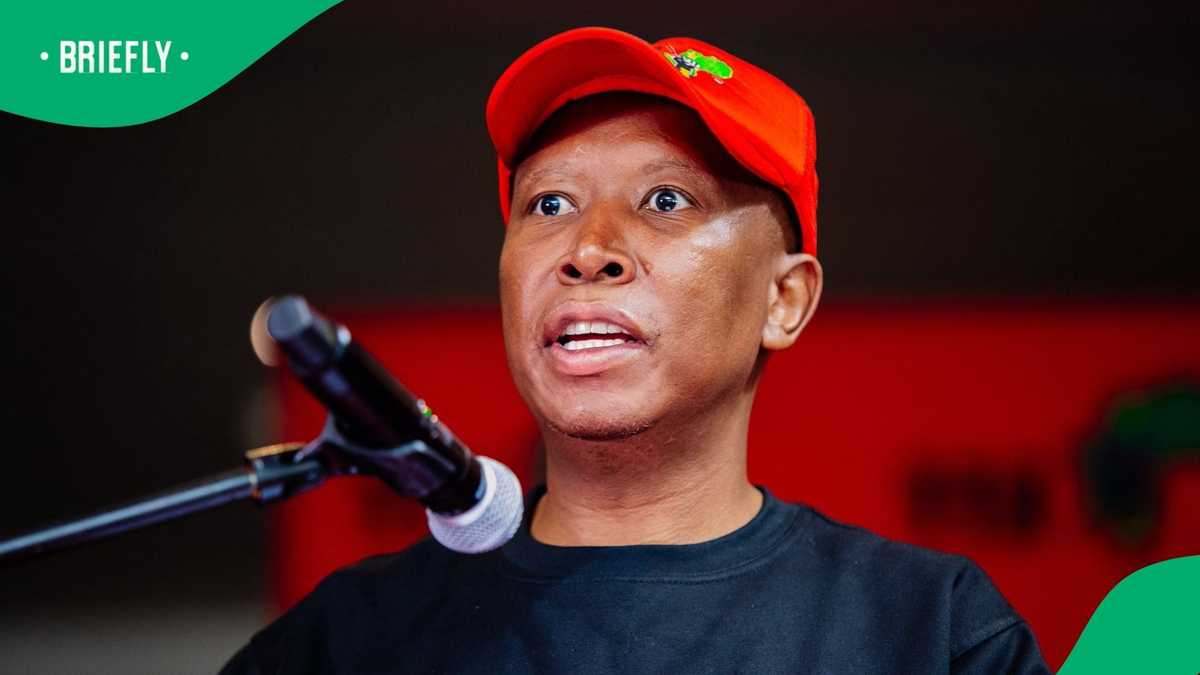 Julius Malema defends Winnie Mandela comparison, clarifies remarks were about Parliament committee