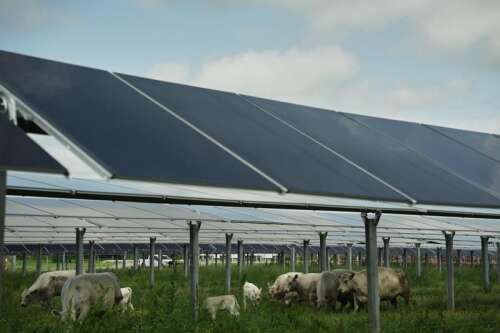 Believe it or not, Trump is aiding a renewable energy golden age