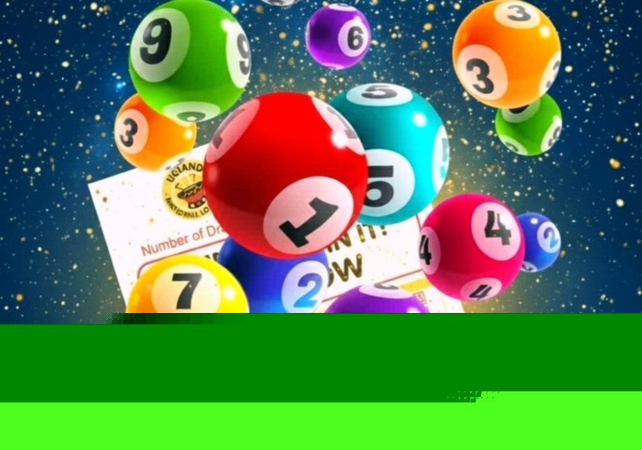 Daily Lotto results, Monday, August 10: See winning numbers