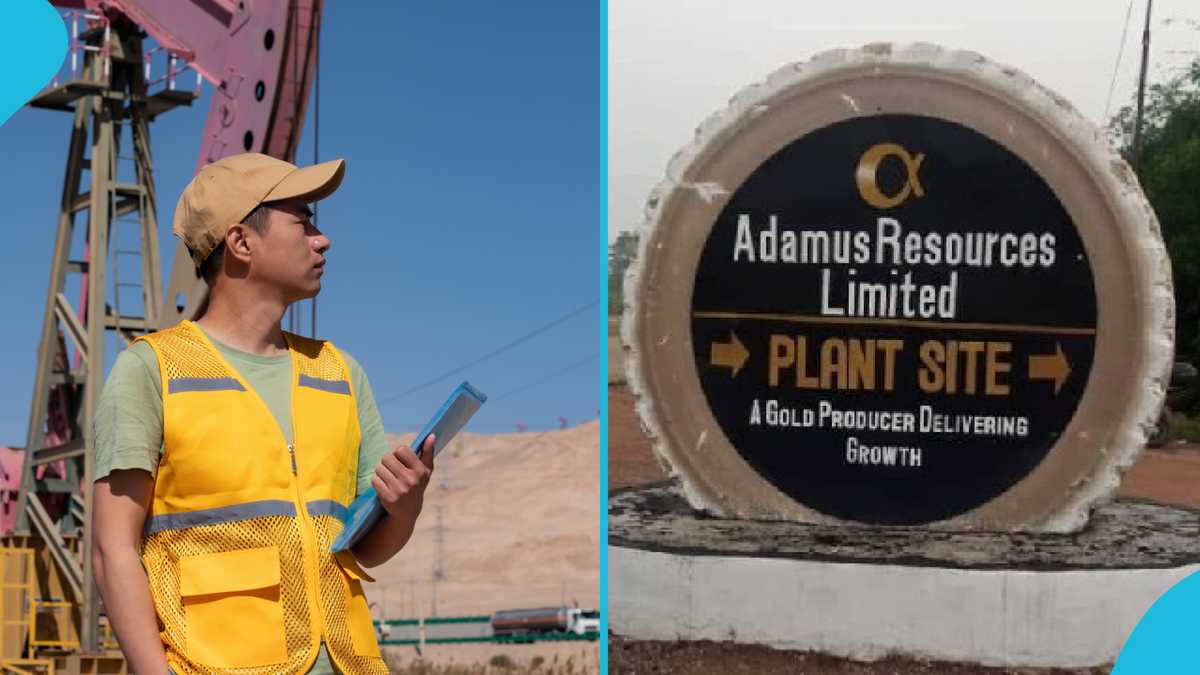 Chinese nationals move into Adamus Mining concession 1 day after license revocation