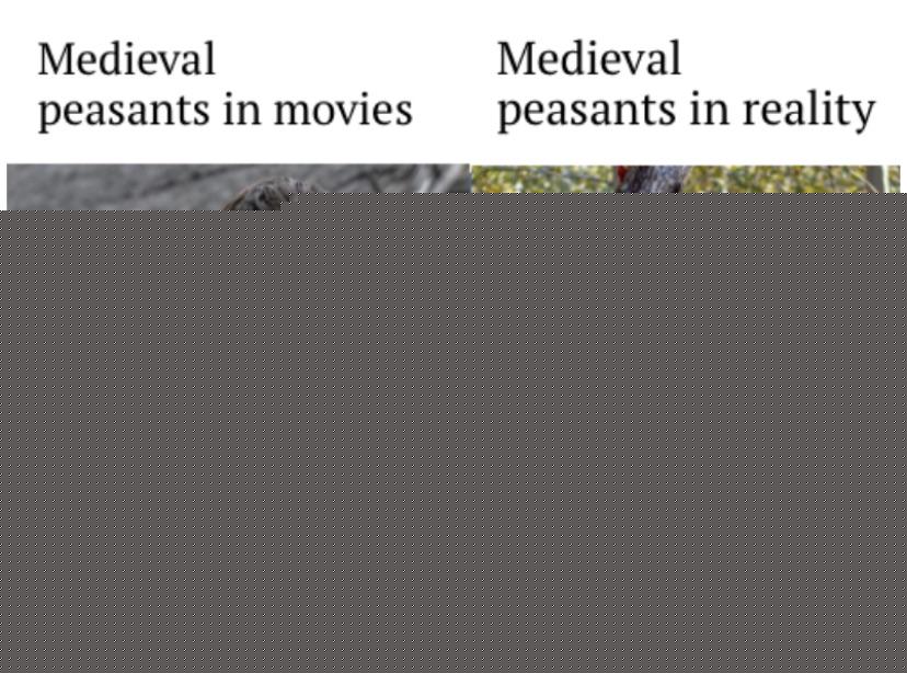 History Memes - Still waiting to see some accurate peasants | History Memes