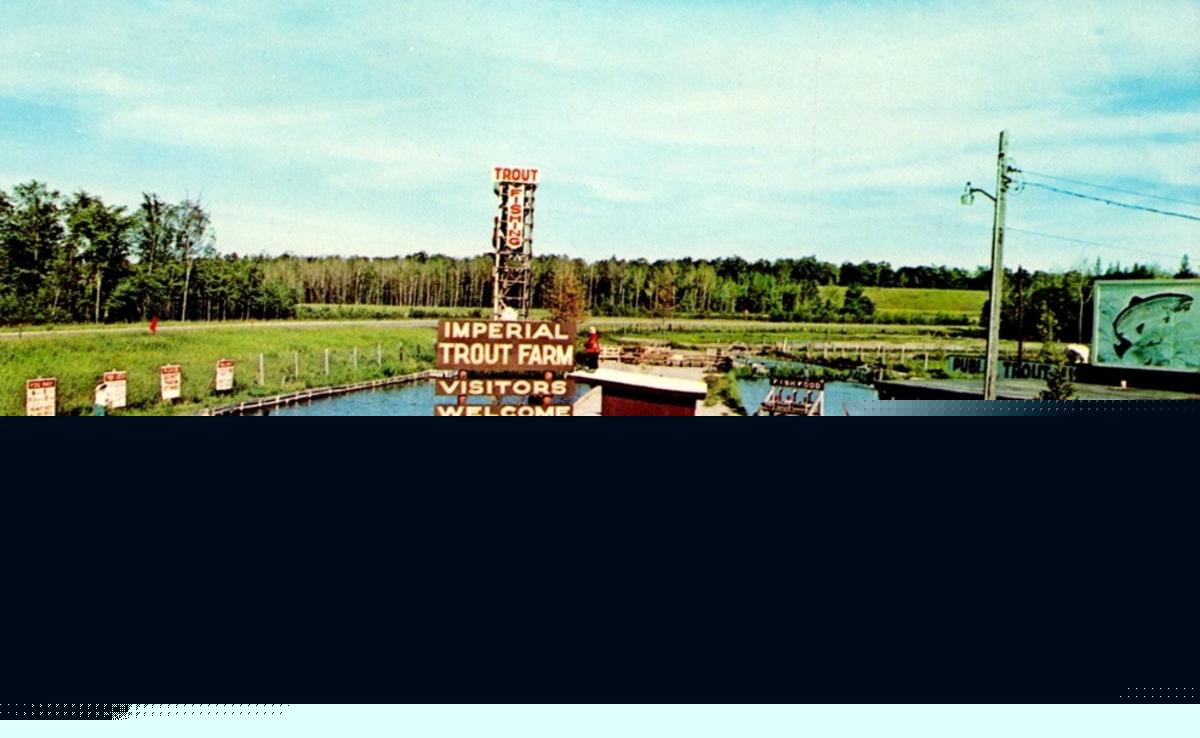 The Old Imperial Trout Farm, Indian River: Now a Parking Lot