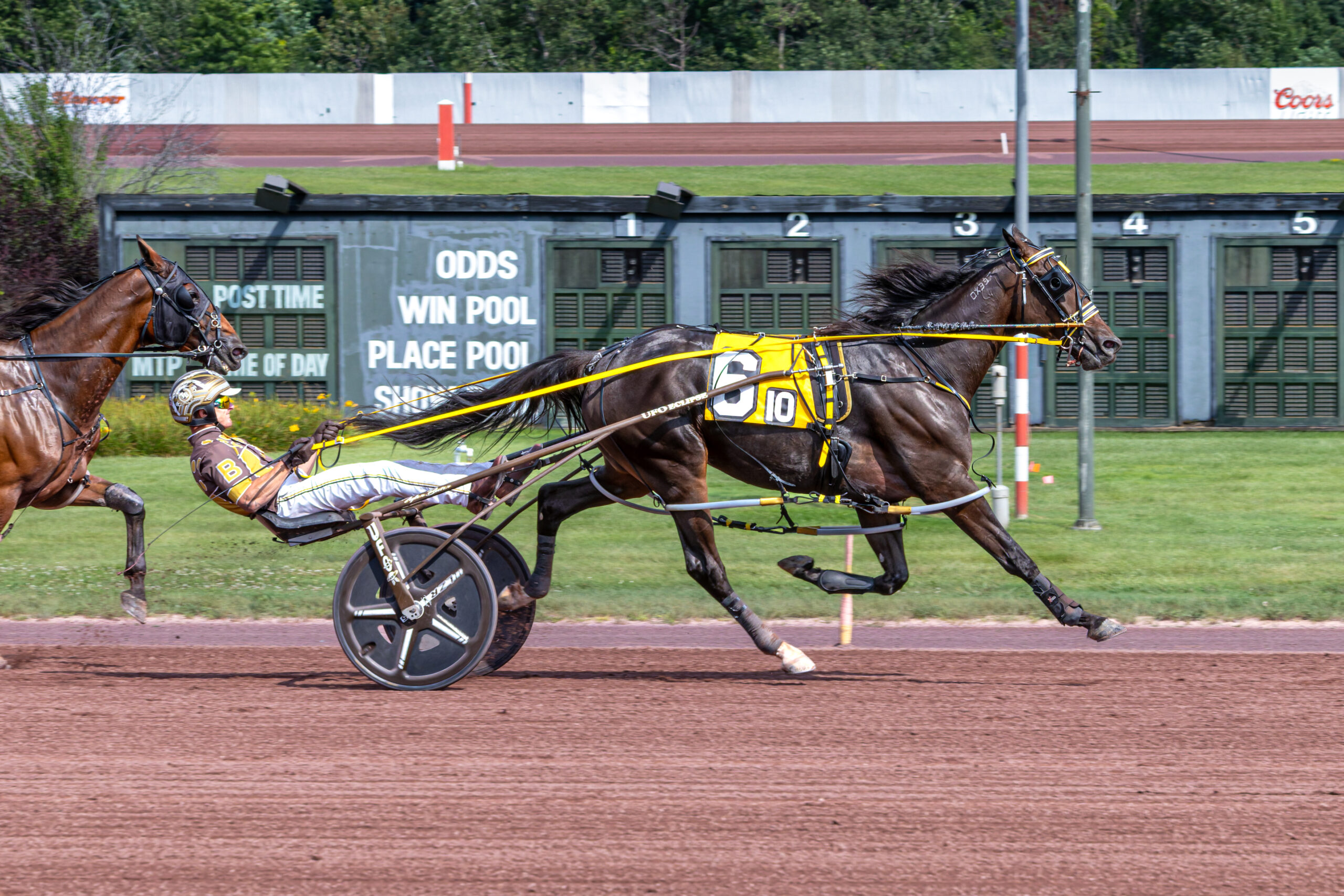 American Ideal gelding wins in fastest of the day
